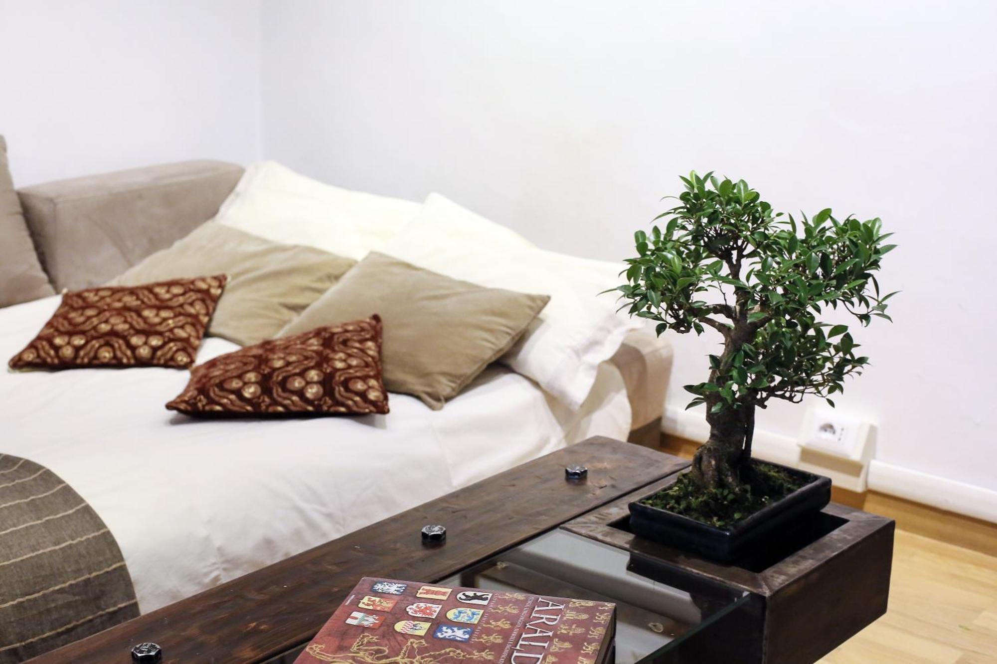 Domus Borgo Pio - San Pietro Apartamento *